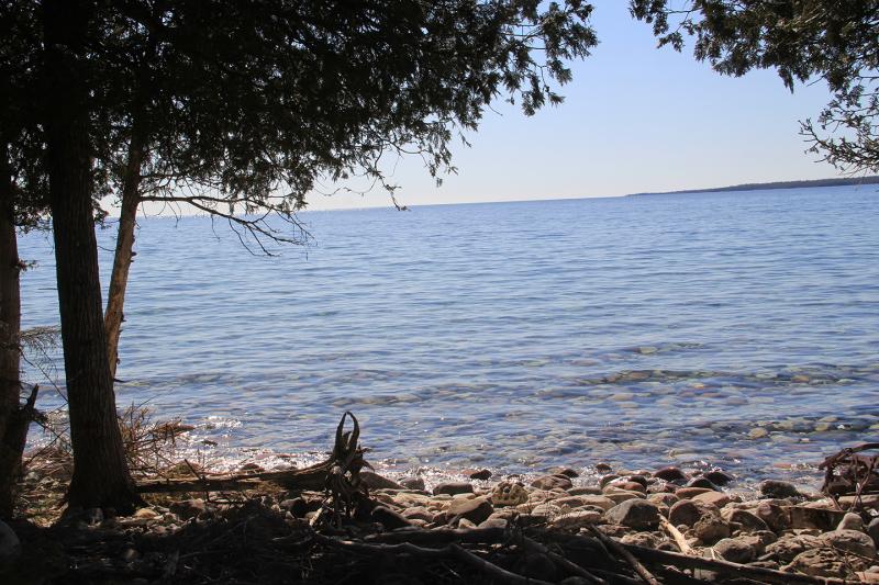 RentalsMLS Rental Main Image