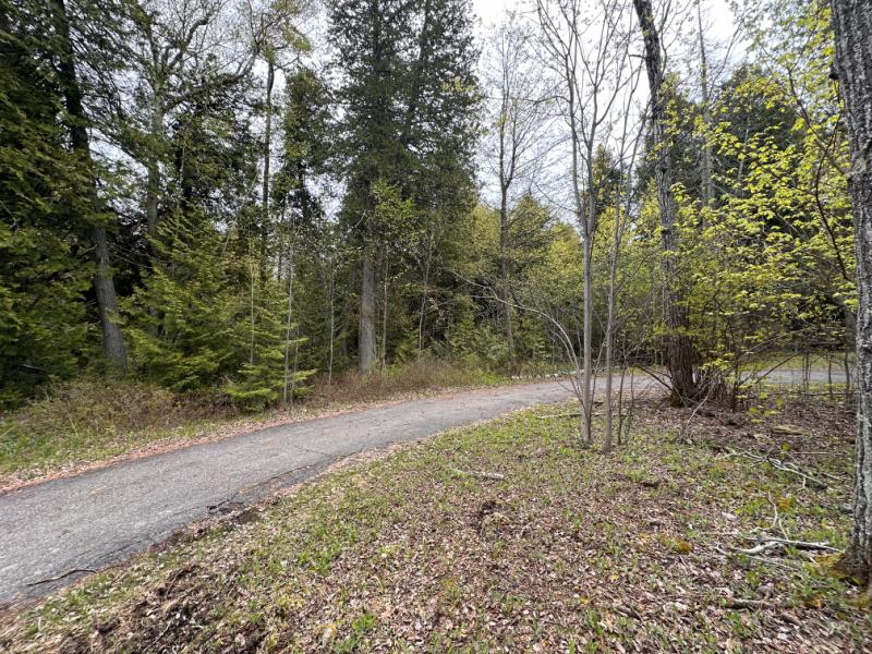 RentalsMLS Rental Main Image