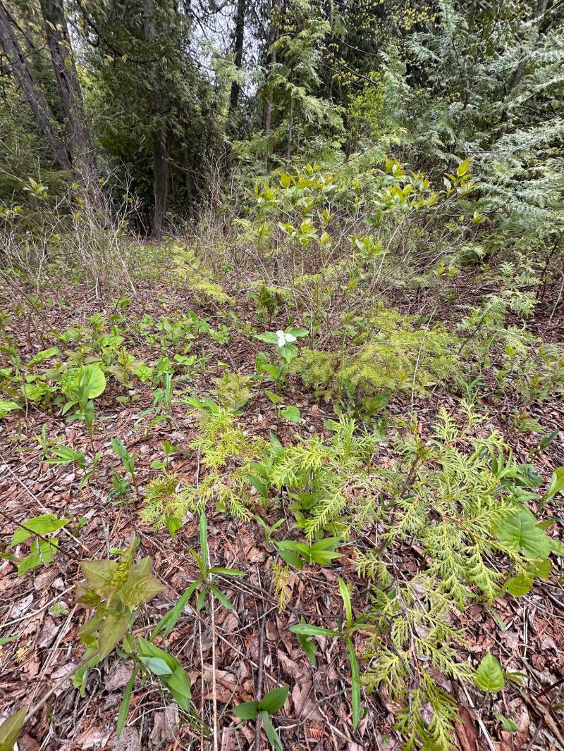 RentalsMLS Rental Additional Image