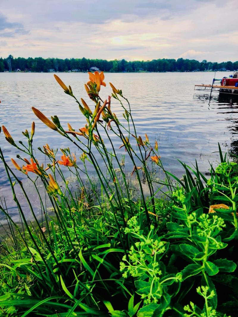 RentalsMLS Rental Additional Image