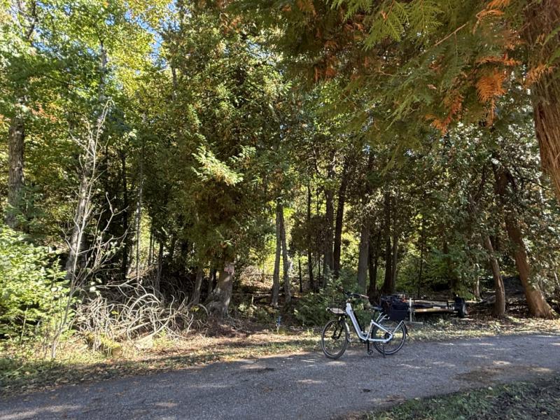 RentalsMLS Rental Additional Image