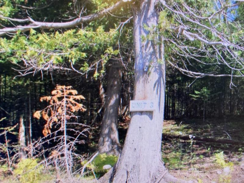 RentalsMLS Rental Main Image