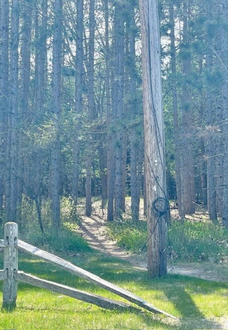 RentalsMLS Rental Additional Image