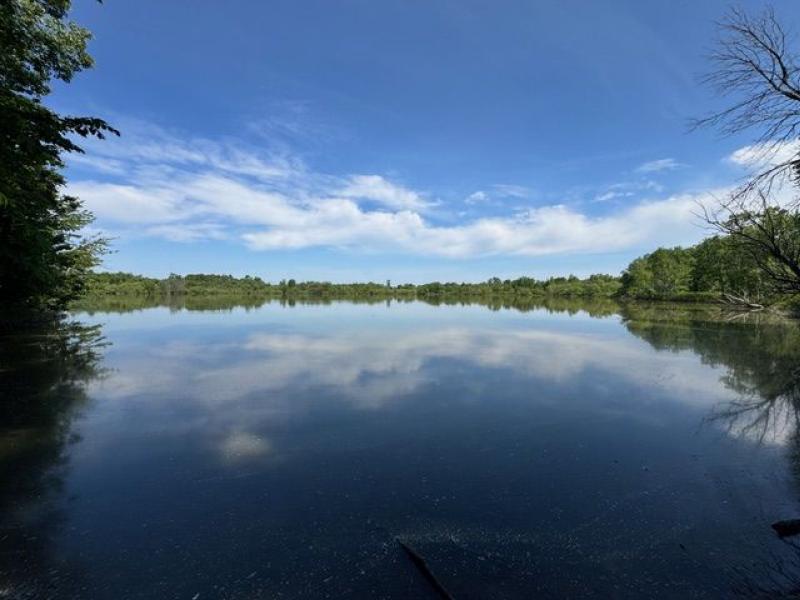 RentalsMLS Rental Main Image