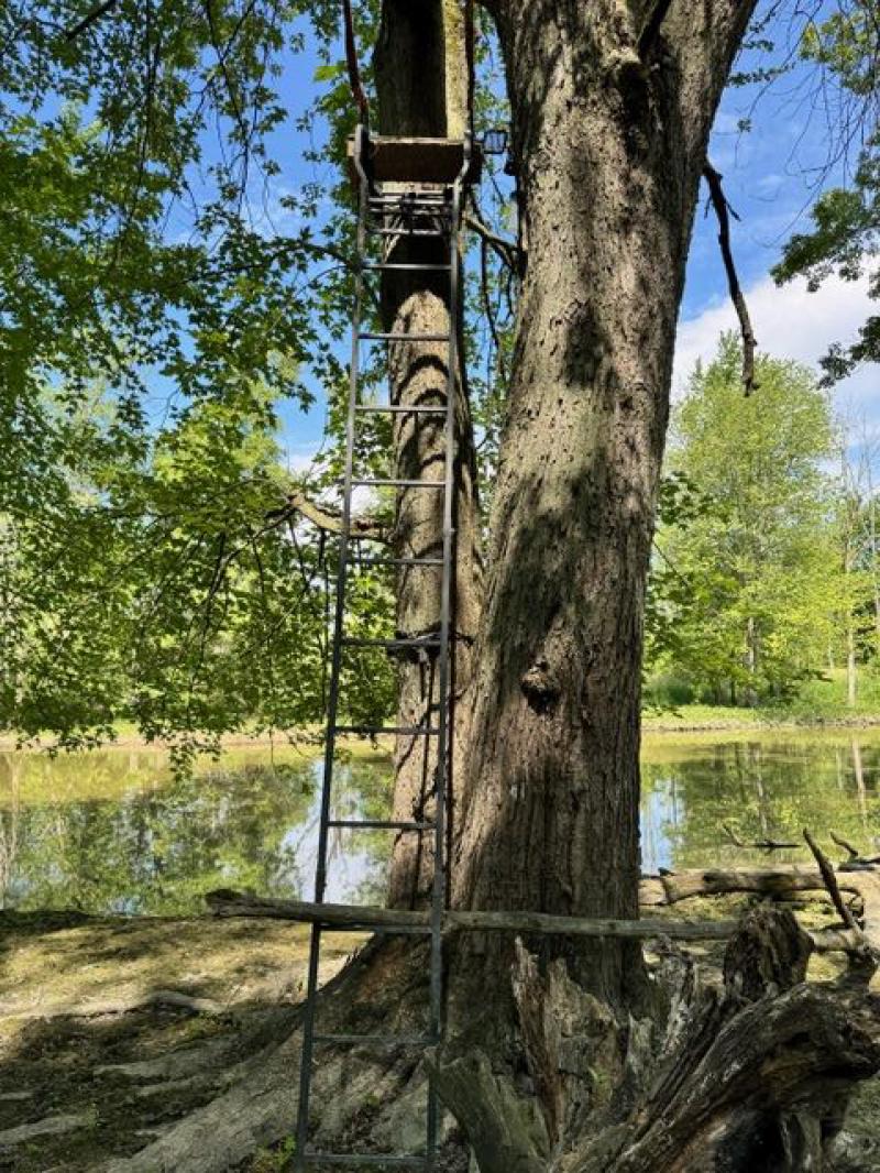 RentalsMLS Rental Additional Image