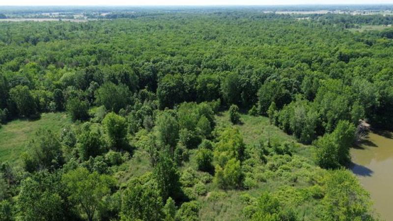 RentalsMLS Rental Additional Image