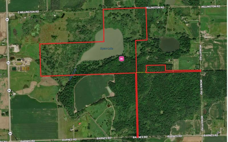 RentalsMLS Rental Additional Image