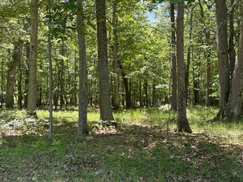 RentalsMLS Rental Main Image