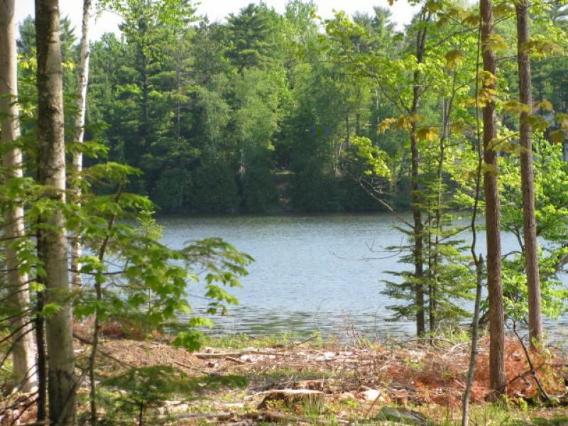 RentalsMLS Rental Main Image