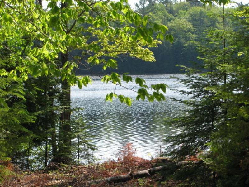 RentalsMLS Rental Additional Image