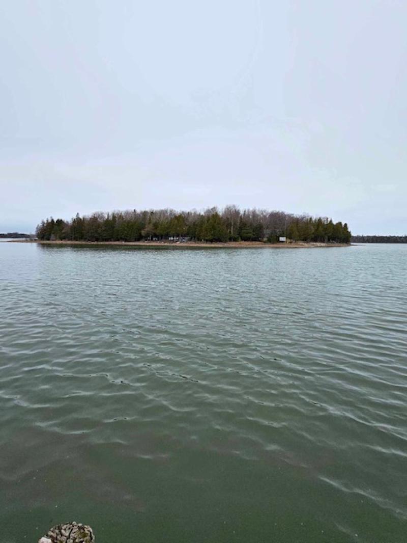 RentalsMLS Rental Main Image