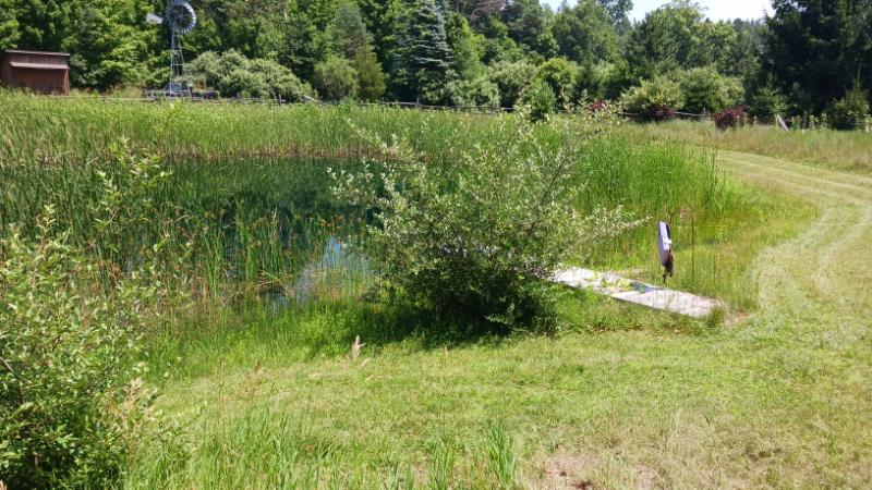 RentalsMLS Rental Additional Image