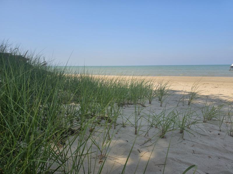 RentalsMLS Rental Main Image