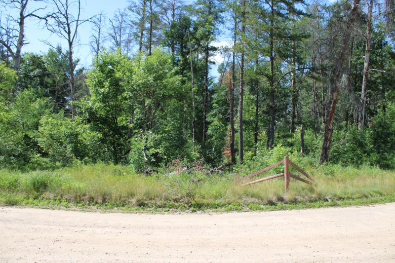 RentalsMLS Rental Main Image