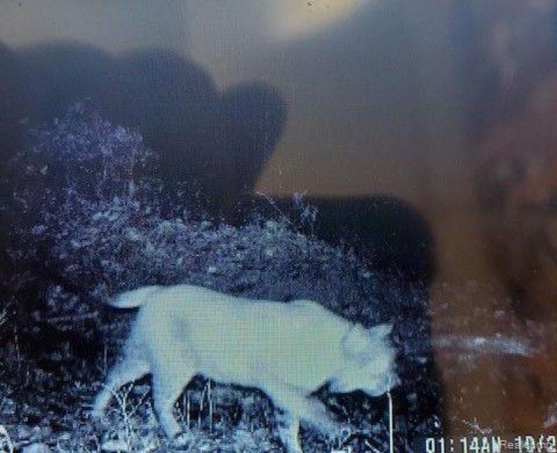 RentalsMLS Rental Additional Image