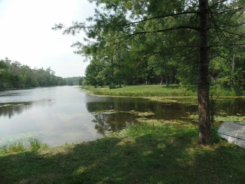 RentalsMLS Rental Main Image