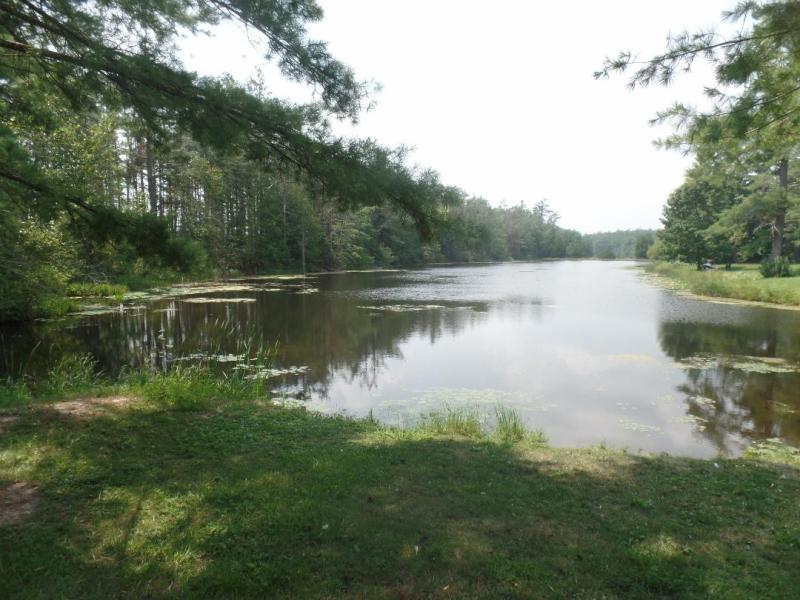 RentalsMLS Rental Additional Image