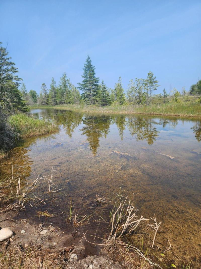 RentalsMLS Rental Main Image