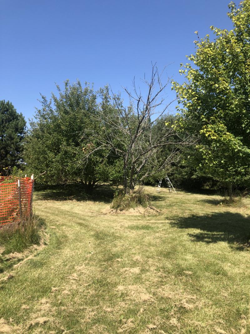 RentalsMLS Rental Additional Image