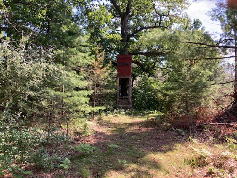 RentalsMLS Rental Additional Image