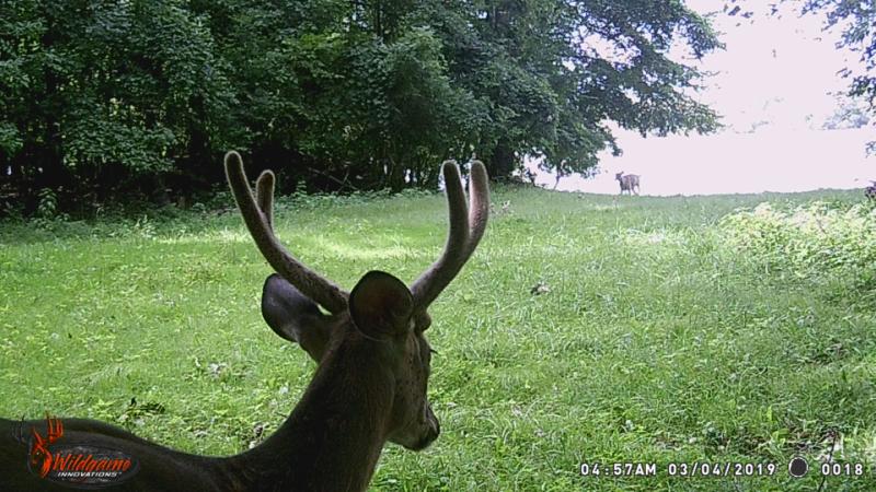 RentalsMLS Rental Additional Image