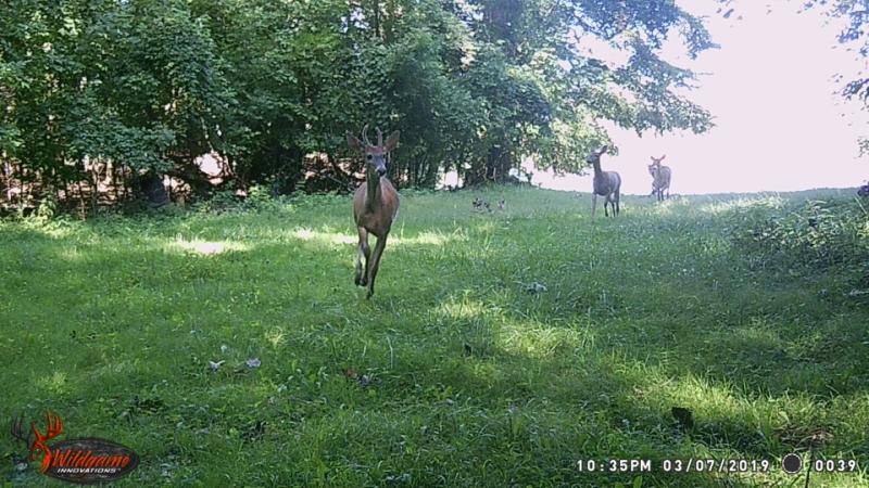 RentalsMLS Rental Additional Image