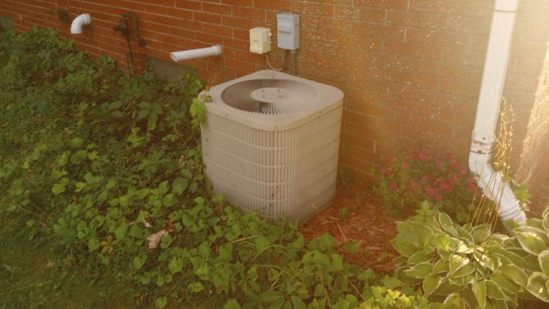 RentalsMLS Rental Additional Image