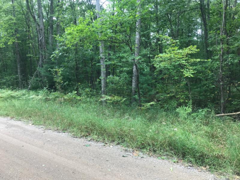 RentalsMLS Rental Main Image