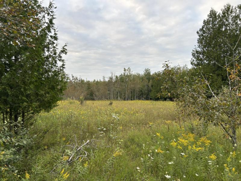 RentalsMLS Rental Main Image