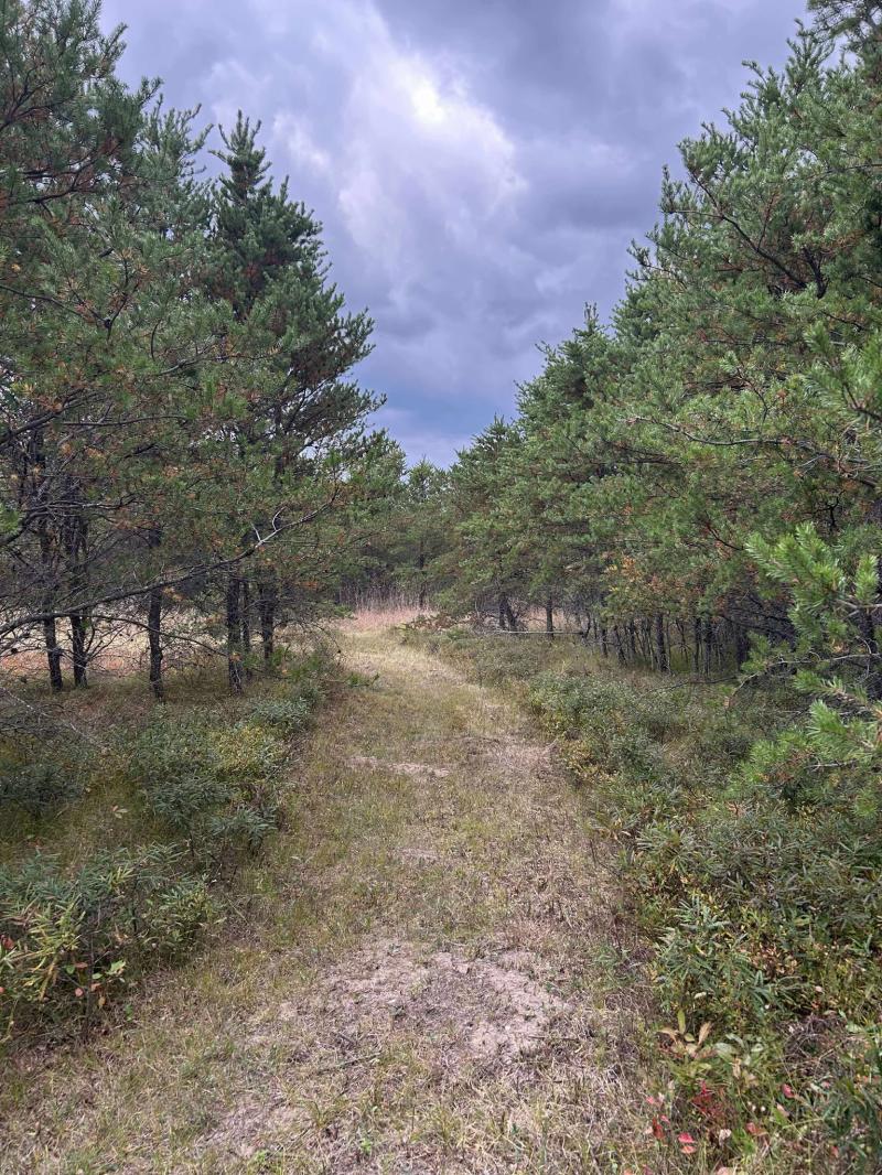 RentalsMLS Rental Main Image