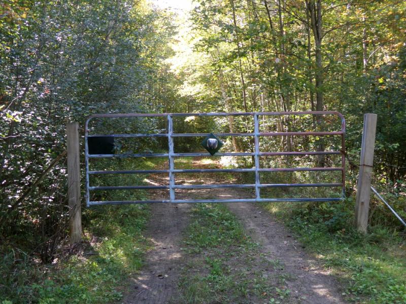 RentalsMLS Rental Main Image