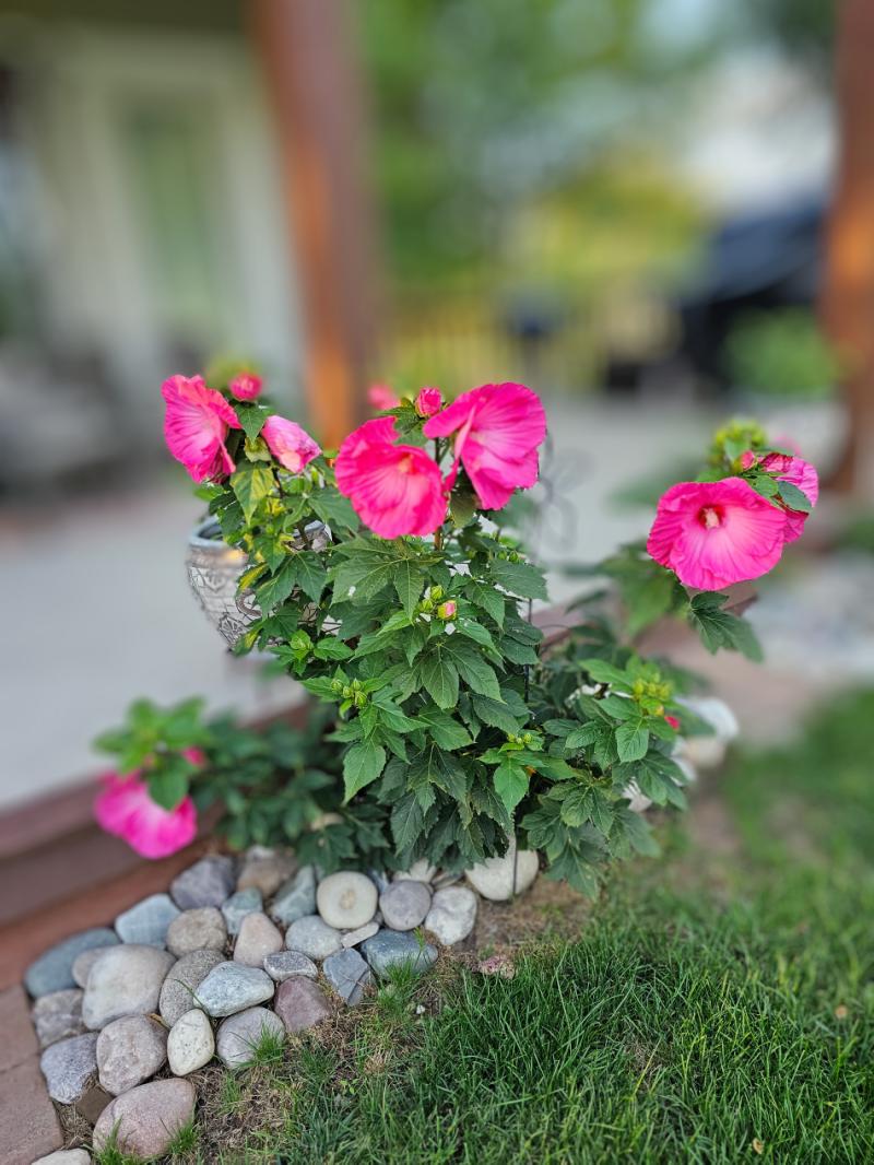 RentalsMLS Rental Additional Image