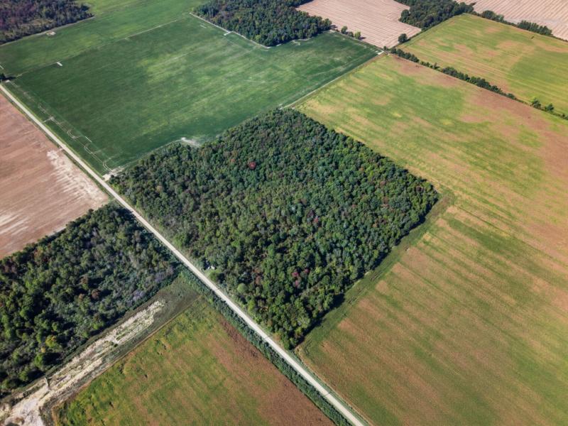 RentalsMLS Rental Additional Image