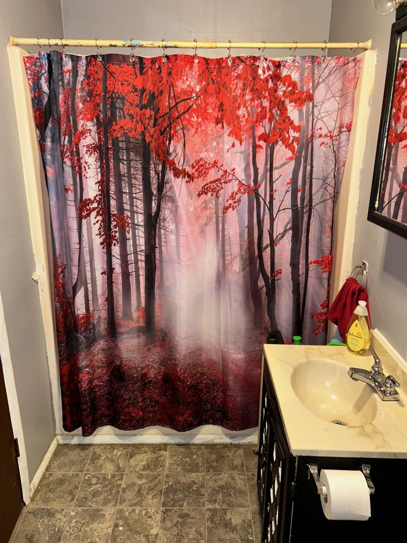 RentalsMLS Rental Additional Image