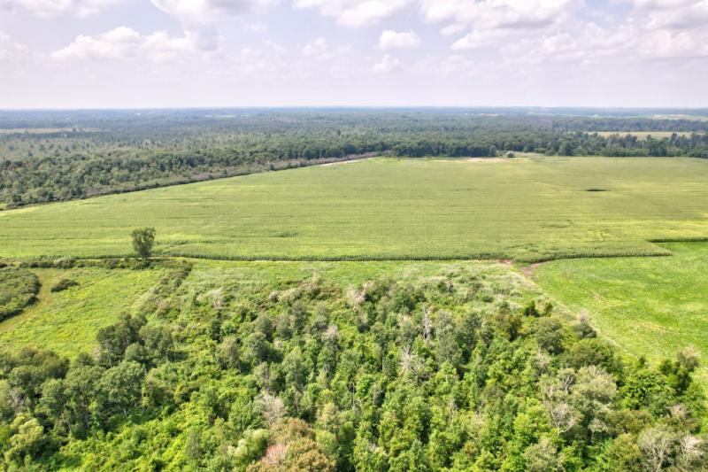 RentalsMLS Rental Additional Image