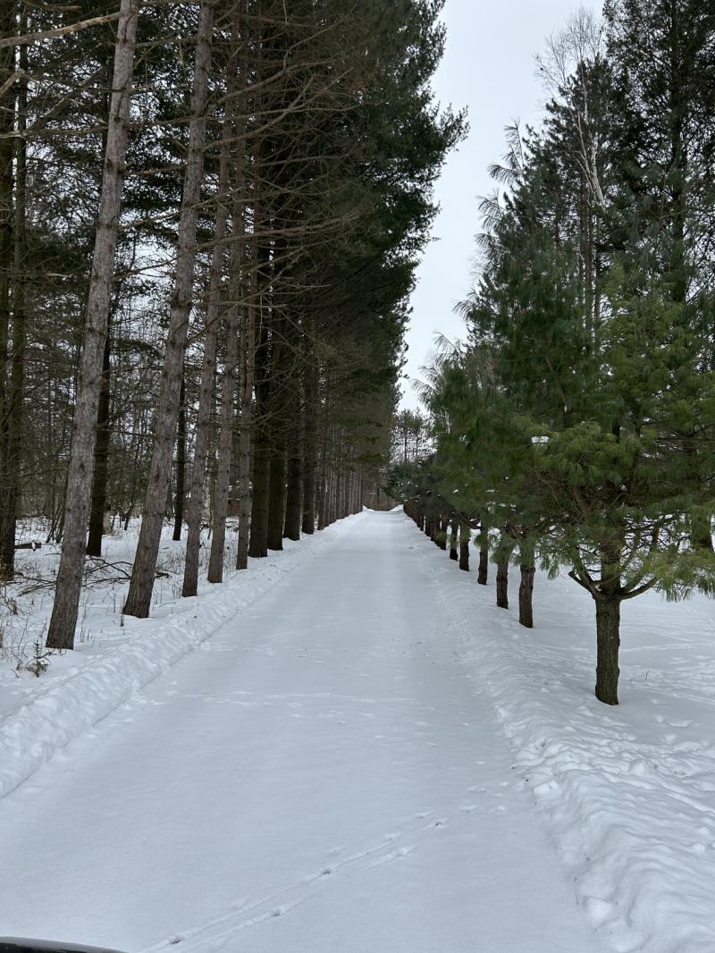 RentalsMLS Rental Additional Image