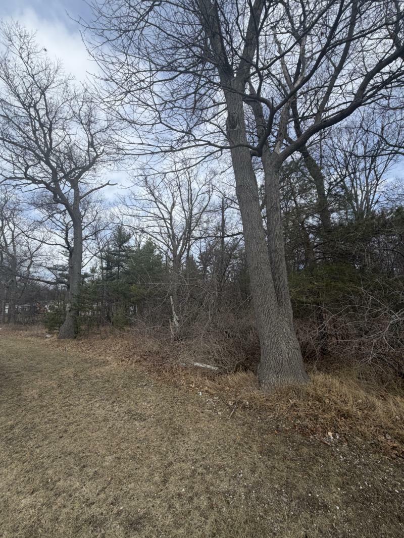 RentalsMLS Rental Main Image