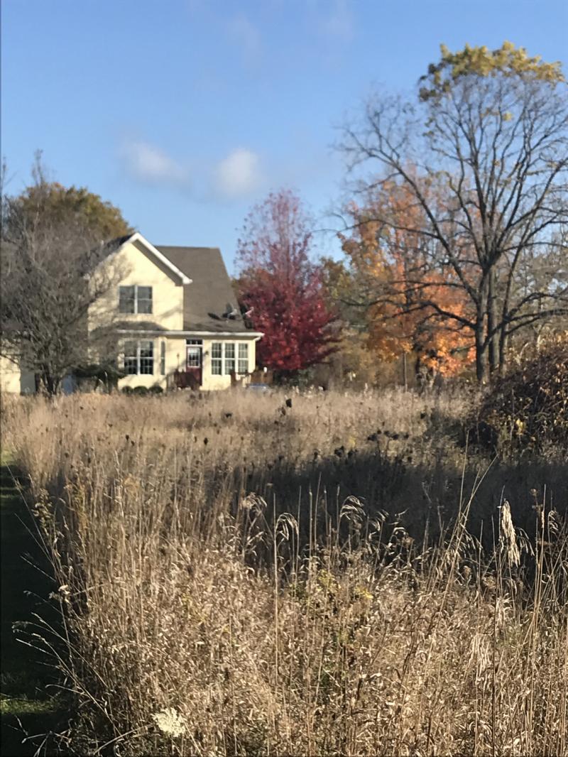 RentalsMLS Rental Additional Image