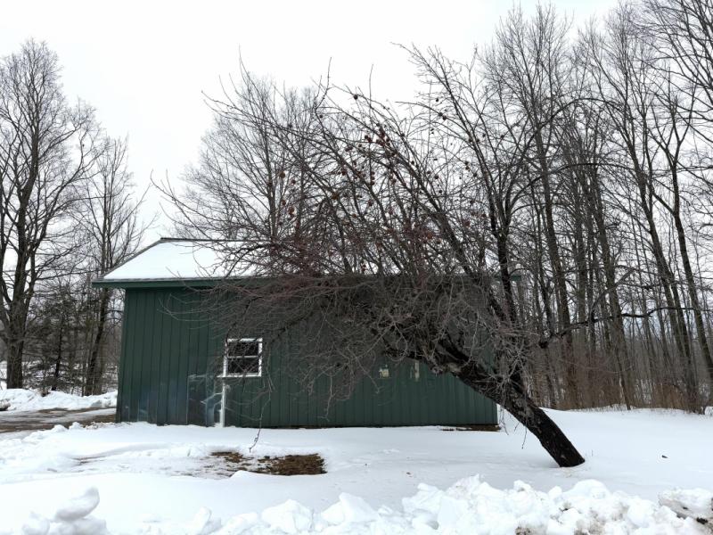 RentalsMLS Rental Additional Image