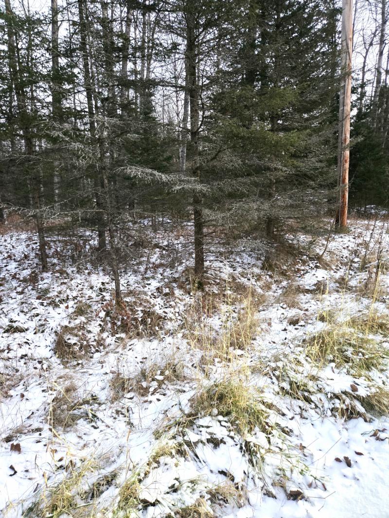 Rental 201546 Main Image