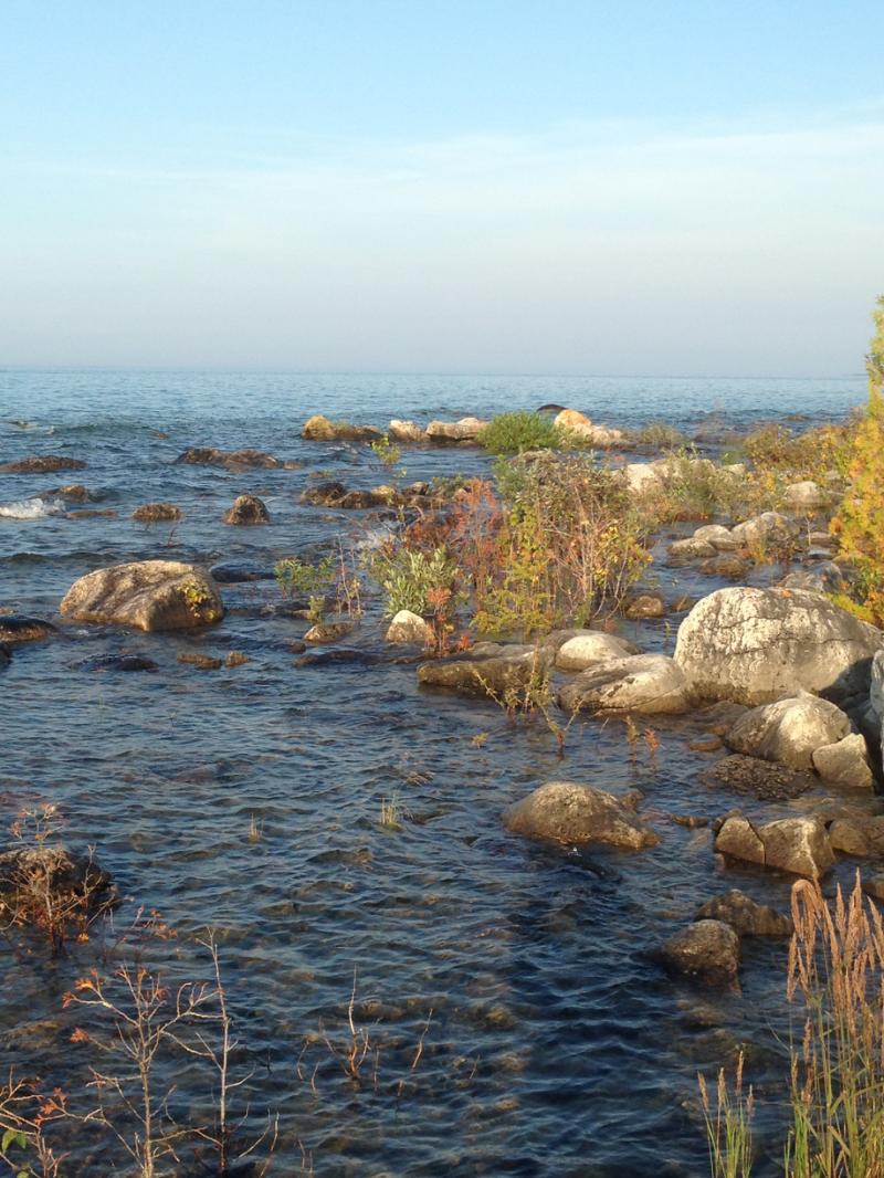 Rental 201615 Main Image