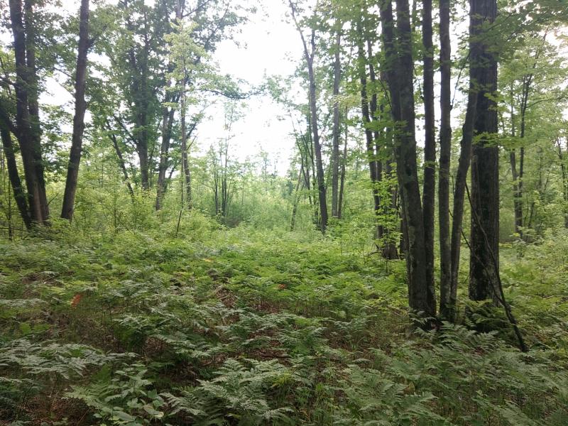 Rental 201783 Main Image