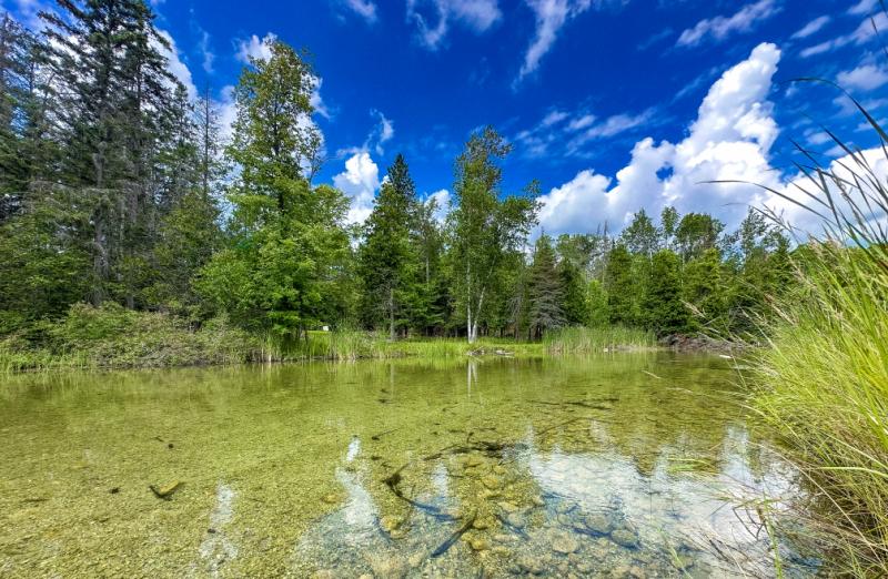 Rental 201806 Main Image