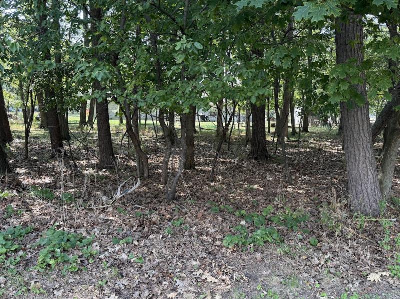 Rental 201896 Main Image