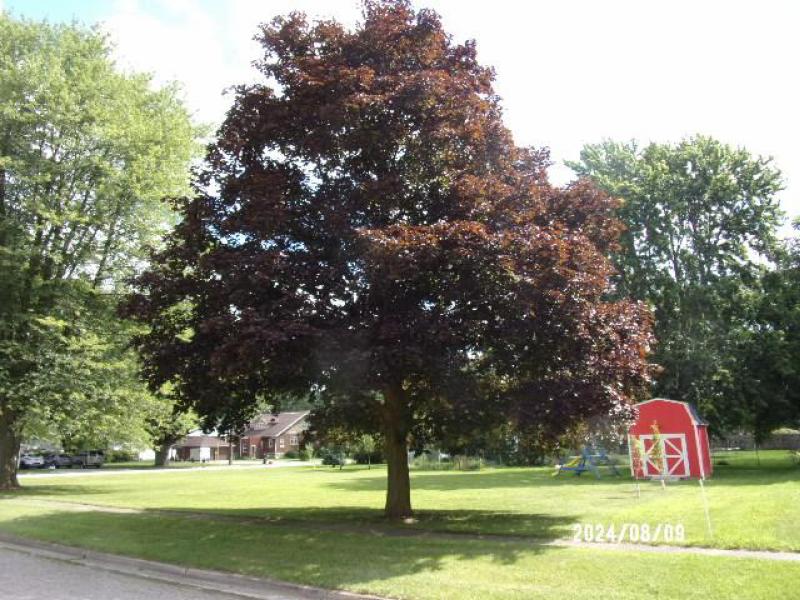 Rental 202087 Main Image