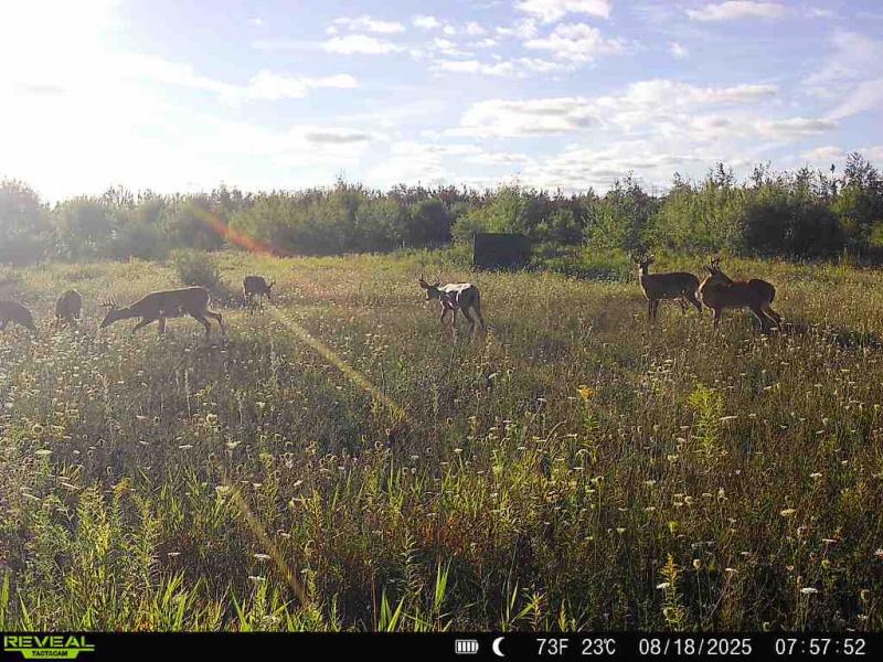 Rental 202183 Main Image