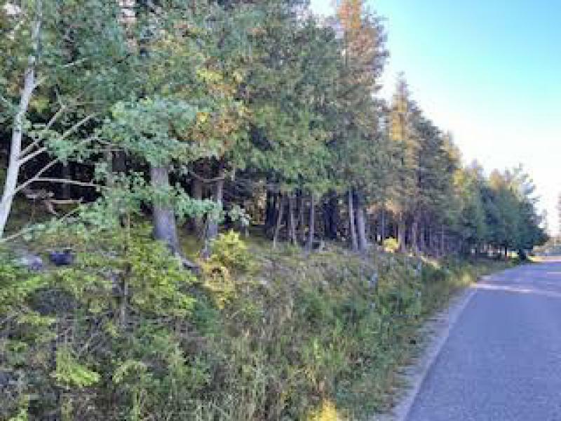 Rental 202314 Main Image