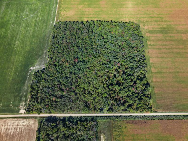 Rental 202374 Main Image