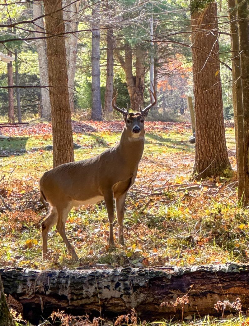 Rental 202540 Main Image