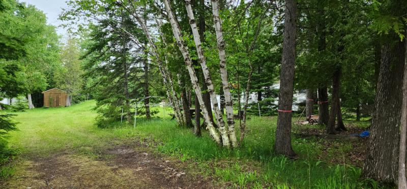 Rental 202599 Main Image